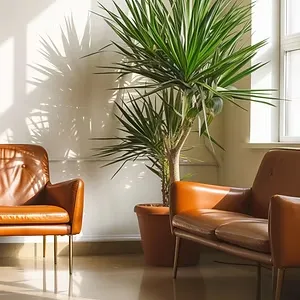 空間デザイン|内装設計とレイアウト構築のイメージ